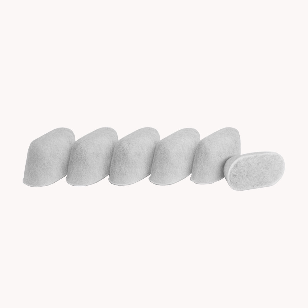 6 Water Filters - Sage - Caffeine Lab