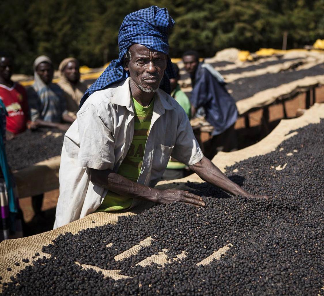 Chelchele - Ethiopia - Espresso Coffee 1KG