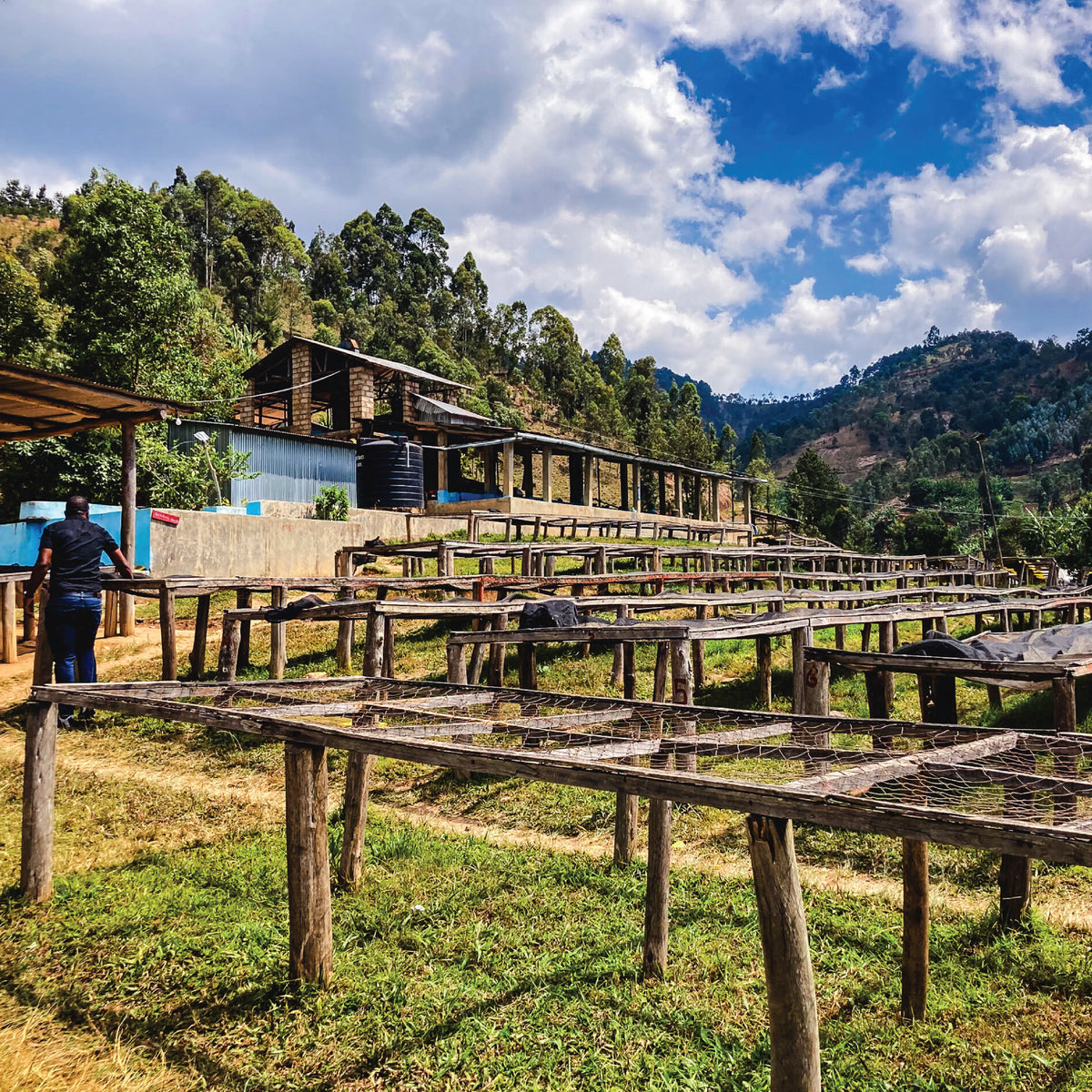Gasharu Lake Kivu - Rwanda - Single Origin  Filter Coffee 150g