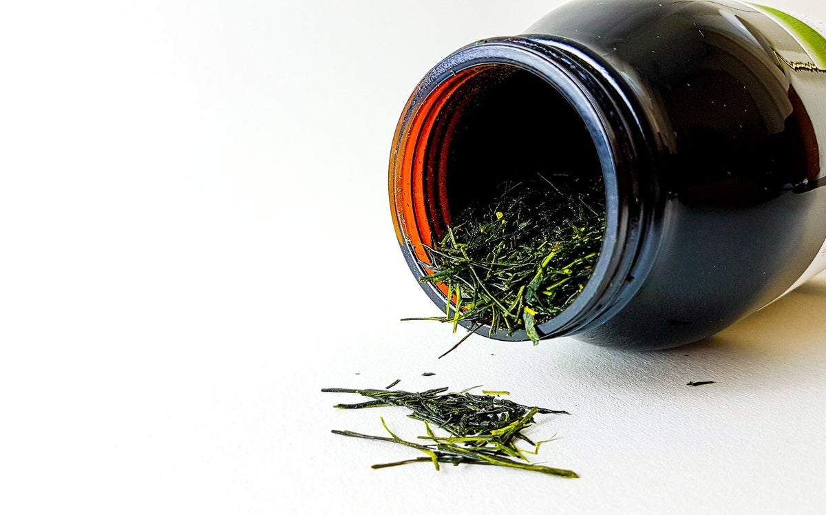 Okumidori Kabusecha (Shaded Sencha) | Single Batch Tea - Caffeine Lab